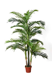 Barato y bueno artificial de árboles de palm mini mini bonsai árbol de interior la decoración del hogar - Product Image 6