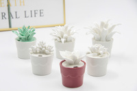 Dekorasi Rumah Modern Lucu Keramik Bunga Buatan Reed Diffser Pot Pemegang untuk AIR FRESHENER