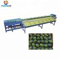 Geavanceerde Avocado Gewicht Classifier Machine, Avocado Sorter Door Gewicht, Gewicht Sorter Prijs