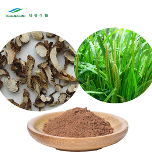 ผงสารสกัดจาก <span class=keywords><strong>Acorus</strong></span> <span class=keywords><strong>gramineus</strong></span> 5-1,10-1,20-1 - Product Image 3