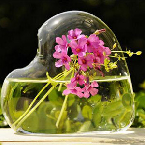 <span class=keywords><strong>A</strong></span> forma di <span class=keywords><strong>cuore</strong></span> <span class=keywords><strong>vaso</strong></span> di vetro - Product Image 5