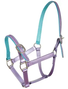 Casques cheval fantaisie collier de tête de cheval éclairé licou de cheval réglable licou d'équitation en Nylon