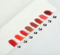 Vente d'usine en Chine rouge à lèvres mat personnalisé cosmétique de beauté rouge à lèvres de marque privée avec votre tube de conception
