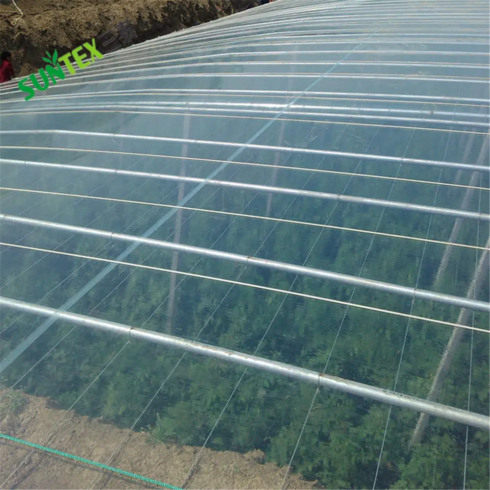 Pellicola trasparente per verdure con copertura in plastica pellicola per serra ad alta luminosità 95% trasmittanza 8MIL