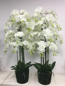 Huisdecoratie Winkels Witte Orquideeën Phalaenopsis Orchidee Plant Phalaenopsis Orchidee Fleurs Artificielles