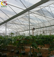 Serre agricole ventilée à toit en dents de scie pour la culture hydroponique tropicale de tomates au Maroc