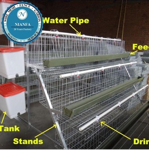 <span class=keywords><strong>2025</strong></span> Phi Hot Bán 3/4 Hai Lớp Gà Pin Lồng/Thiết Kế Lớp Gà Lồng (Quảng Châu Nhà Máy) - Product Image 2