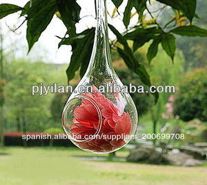 <span class=keywords><strong>2014</strong></span> nueva manzana de <span class=keywords><strong>cristal</strong></span> colgando florero de vidrio de regalo de boda regalo - Product Image 1
