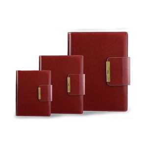 Fabricación <span class=keywords><strong>de</strong></span> Pasta Química Página Interior Organizador Diario 2017 - Product Image 5