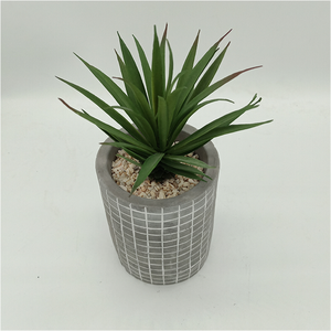 Petits <span class=keywords><strong>Cactus</strong></span> et Succulentes Artificiels en Plastique, Adorables Plantes Succulentes en Pot de Ciment, Durables et Réalistes - Product Image 5