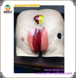 Hecho en China maniquí de enfermería médico utiliza úlceras por presión, escaras modelo - Product Image 1