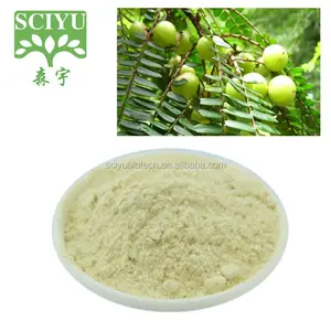 Extrait Amla poudre naturelle, pour manucure, soin du visage