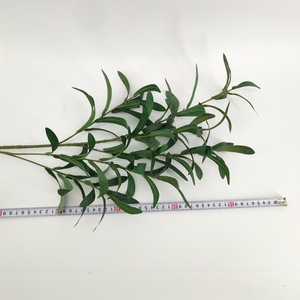 Nuovo Ramo di <span class=keywords><strong>Ulivo</strong></span> Artificiale alla Moda, Foglie Fatte a Mano, Prezzo all'Ingrosso Conveniente - Product Image 2