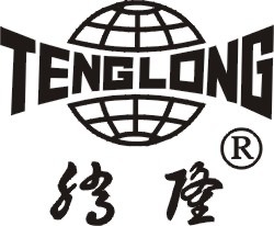 Wenzhou Tenglong Electronics Meter Co., Ltd. logo