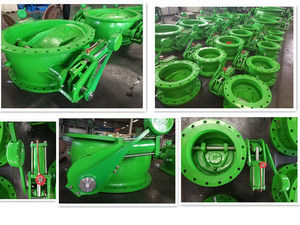 Vanne de refoulement inclinable à papillon avec contrepoids et amortisseur hydraulique - Product Image 5