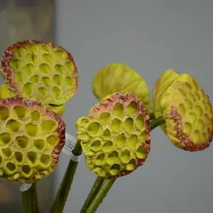 家の装飾のための人工蓮の花の雄しべ水生植物長い茎の蓮の枝