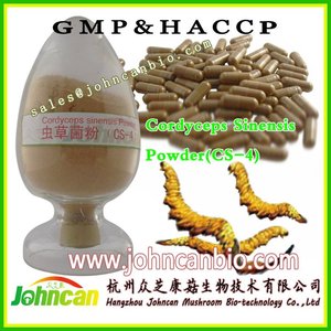 Vente chaude Cordyceps sinensis (<span class=keywords><strong>Yarsagumba</strong></span>) Extrait 30% de Polysaccharides - Product Image 2