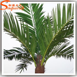 Bán Buôn Giá Nhựa Dừa Lá Cọ Sản Phẩm Nhân Tạo Cây Cọ Để Bán - Product Image 6