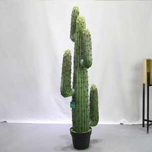 Nuovo messico <span class=keywords><strong>cactus</strong></span> tipi di 127 centimetri di altezza decorativo <span class=keywords><strong>cactus</strong></span> per plante artificielle - Product Image 3
