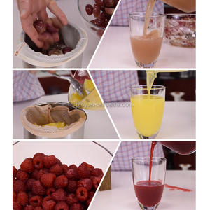 油圧式グレープフルーツ絞り器ジュースプレス機/手動ジャックアップルジュース抽出機 - Product Image 4