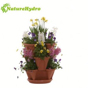 Venta caliente <span class=keywords><strong>Bonsai</strong></span> de <span class=keywords><strong>cultivo</strong></span> hidropónico de plantas - Product Image 4