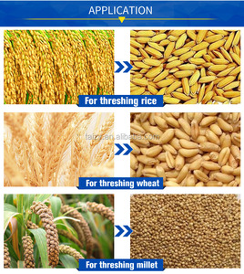 Trilladora Manual Pequeña para Arroz, Trigo, Frijoles y Mijo, Precio de la Máquina Trilladora - Product Image 5