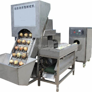 Máquina Peladora de Cebollas Totalmente Automática de 1000-1500 kg/h al Mejor Precio - Product Image 4