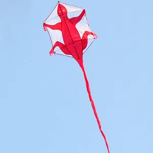 Красная настенная ящерица rokkaku kites