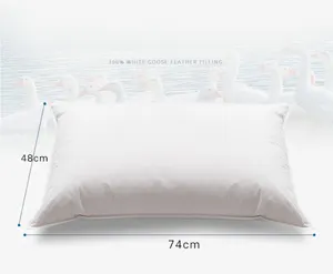 Gran servicio de pedido OEM Plush Sleep Útil almohada de plumas estándar