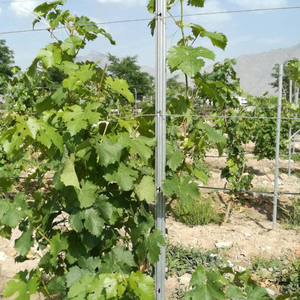 Poste métallique en vinyle galvanisé, nouveauté, approvisionnement directe depuis l'usine, dure longtemps - Product Image 2