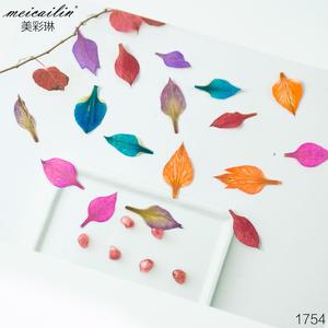 12 couleurs 3D Nail Art décoration vraie fleur séchée sèche - Product Image 5