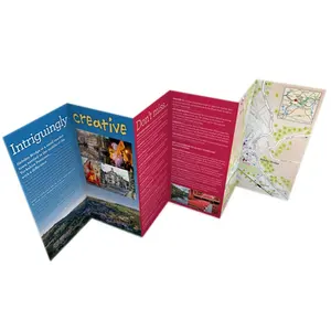 Custom pamphlet printing Brochure printing service Children's safety and health brochures printing promotional Leaflet