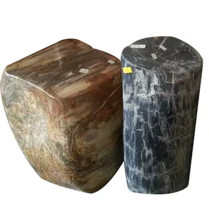 Petrified Wood Fossil Wood Luxury Nature Decorative Stone