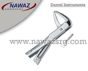 Pince à extraire les dents Fig74 XN Produits de logo personnalisé de qualité supérieure Instruments dentaires en acier inoxydable - Product Image 2