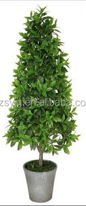 <span class=keywords><strong>Arbre</strong></span> de <span class=keywords><strong>laurier</strong></span> de haute qualité / <span class=keywords><strong>Arbre</strong></span> de <span class=keywords><strong>laurier</strong></span> artificiel Décoration Arbres de bois doux artificiels / Plantes artificielles en gros pour l'extérieur - Product Image 4