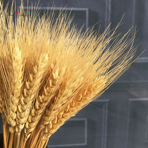 Nuova Offerta: Fiore Secco Artificiale di Grano per Decorazione - Product Image 1