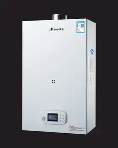 gas water boiler