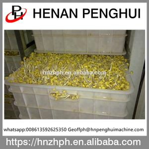 Bán Hot Đậu Nành Thương Mại Đậu Nành Rau Lúa Mì Tỏi Hạt Giống Trồng Mầm Sprouter Máy - Product Image 4