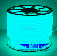 Bande Néon LED Flexible Étanche Multicolore, 12V 24V 110V 220V, SMD2835, 120 LED/m, en Rouleau de 50m ou 100m