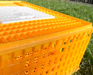 Plastic chicken/brolier transport cage/crate/coop/box for sale