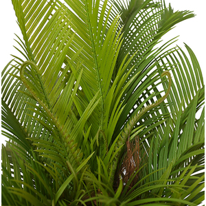 Producto Chino de Calidad, Planta Artificial de Cycas Revoluta, Palmera de Sagú - Product Image 4