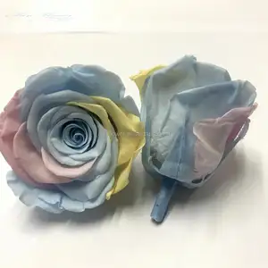 Colorful unfading roses ecuadorian rose A+ grade popular preserved roses on sale