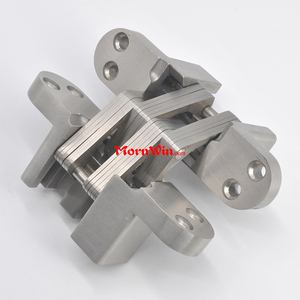 Heavy Duty <span class=keywords><strong>Soss</strong></span> Cross oculto Invisible 180 grados SS 304 <span class=keywords><strong>bisagra</strong></span> <span class=keywords><strong>oculta</strong></span> para puerta - Product Image 2