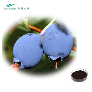 1 kg Heidelbeerblattextrakt, lateinischer Name: Vaccinium Myrtillus - Product Image 4