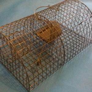 Cage multi-meuble à rat, 1 pièce