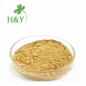 شنشى استخراج نباتي lonicera caprifolium استخراج 5% الكلوروجينيك حمض