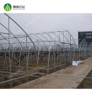 <span class=keywords><strong>2025</strong></span> <span class=keywords><strong>Kits</strong></span> de grande serre de haute qualité Tunnel en acier galvanisé à chaud avec matière plastique verte PE - Product Image 5