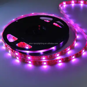 Lanple LED Stripes Chiếu Sáng Nhà Thông Minh 12 Volt Đèn LED Từ Xa 5050 Pin Powered LED Strip Cho Xe Ô Tô