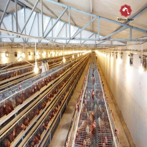 2022 vendite calde Nigeria allevamento di pollame zincato Q235 3 strati 120 uccelli batteria gabbia di pollo - Product Image 3