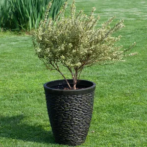 Imalatı yapay bitki/yapay Bonsai bahçe süs için çin yapay taş saksı yuvarlak camlı el fırçası PE